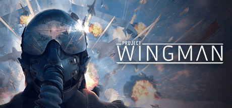 Project Wingman v2.1.1a с DLC